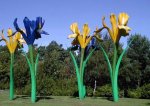 Giant_Irises